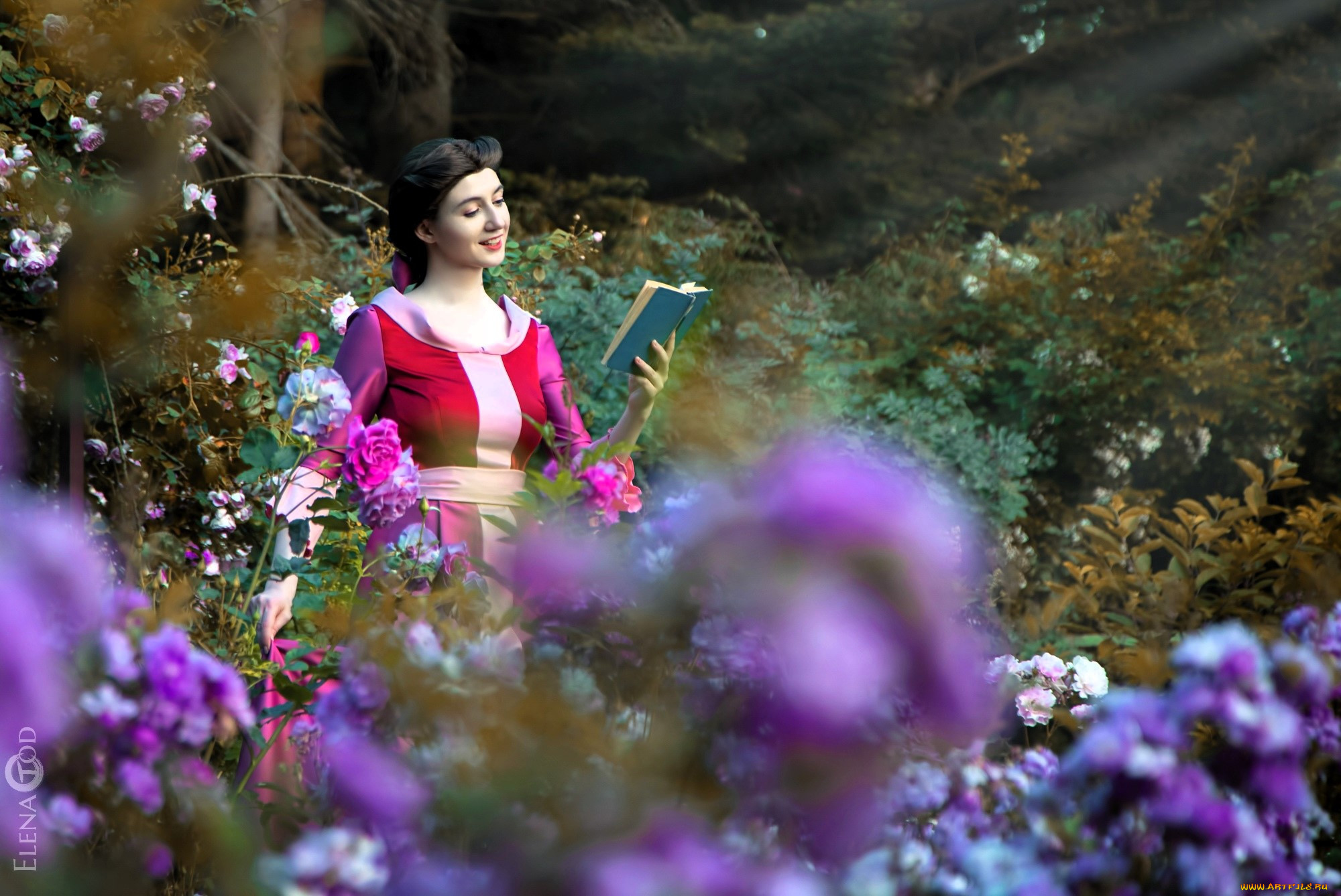 , tomka violea, , , , , , , , , 